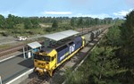 Trainz 2022 DLC - NSW 81 Class Pacific National Pack - изображение № 8