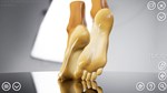 HAELE 3D - Feet Poser LiteSTEAM Россия️АВТОДОСТАВКА - изображение № 7