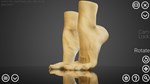 HAELE 3D - Feet Poser LiteSTEAM Россия️АВТОДОСТАВКА - изображение № 2