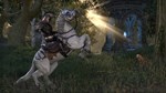The Elder Scrolls Online Standard Edition - изображение № 8