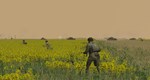 Combat Mission: Red Thunder - Battle Pack 1 DLCSTEAM - изображение № 4