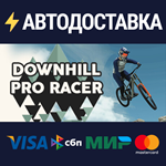 Downhill Pro RacerSTEAM Россия️АВТОДОСТАВКА
