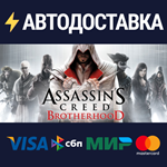 Assassin's Creed BrotherhoodSTEAM РФ/СНГ/УКР/КЗ