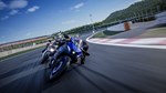 RIDE 5 - Rebel Pack DLCSTEAM Россия️АВТОДОСТАВКА - изображение № 7