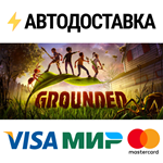 GroundedSTEAM РФ/СНГ/УКР/КЗ ️АВТО