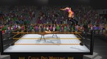 Casual Pro WrestlingSTEAM Россия️АВТОДОСТАВКА - изображение № 3