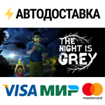 The Night is GreySTEAM Россия️АВТОДОСТАВКА