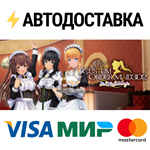 CUSTOM ORDER MAID 3D2 It's a Night MagicSTEAM