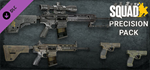Squad Weapon Skins - Precision Strike Pack DLCSTEAM