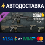 Squad Weapon Skins - Precision Strike Pack DLCSTEAM
