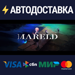 MareldSTEAM Россия️АВТОДОСТАВКА