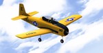 RealFlight Evolution: Upgrade from RealFlight 9.5 - изображение № 8