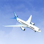 RealFlight Evolution - 2023 Year Content Pass DLC - изображение № 8