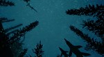 Beasts of BermudaSTEAM РФ/СНГ/УКР/КЗ ️АВТО - изображение № 5