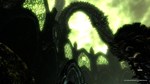 The Elder Scrolls V: Skyrim - Dragonborn DLC - изображение № 8