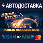 Dome KeeperSTEAM РФ/СНГ/УКР/КЗ ️АВТО