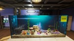 AquaristSTEAM РФ/СНГ/УКР/КЗ ️АВТО - изображение № 6