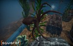 AquaristSTEAM РФ/СНГ/УКР/КЗ ️АВТО - изображение № 7