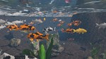 Aquarist - Japanese Garden DLCSTEAM RU️АВТО - изображение № 3