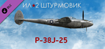 IL-2 Sturmovik: P-38J-25 Collector Plane DLCSTEAM