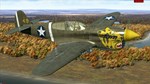 IL-2 Sturmovik: P-40E-1 Collector Plane DLCSTEAM - изображение № 2