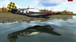 IL-2 Sturmovik: P-40E-1 Collector Plane DLCSTEAM - изображение № 7