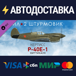 IL-2 Sturmovik: P-40E-1 Collector Plane DLCSTEAM