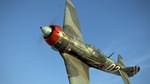 IL-2 Sturmovik: La-5F series 38 Collector Plane DLC - изображение № 7