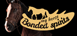 My Horse: Bonded SpiritsSTEAM Россия️АВТОДОСТАВКА