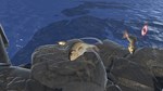 Fish HeroSTEAM РФ/СНГ/УКР/КЗ ️АВТО - изображение № 3