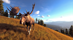 Way of the Hunter Elite EditionSTEAM РФ/СНГ/УКР/КЗ - изображение № 8