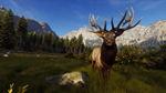 Way of the Hunter Elite EditionSTEAM РФ/СНГ/УКР/КЗ - изображение № 2