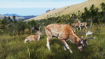 Way of the Hunter - Map Pack 2 DLCSTEAM RU️АВТО - изображение № 2