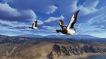 Way of the Hunter - Map Pack 2 DLCSTEAM RU️АВТО - изображение № 5