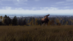 Way of the Hunter - Lintukoto Reserve DLCSTEAM - изображение № 6