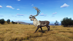 Way of the Hunter - Lintukoto Reserve DLCSTEAM - изображение № 3
