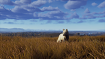 Way of the Hunter - Lintukoto Reserve DLCSTEAM - изображение № 5