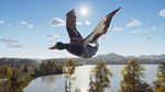 Way of the Hunter - Lintukoto Reserve DLCSTEAM - изображение № 4