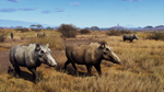 Way of the Hunter - Tikamoon Plains DLCSTEAM - изображение № 3