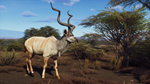 Way of the Hunter - Tikamoon Plains DLCSTEAM - изображение № 7