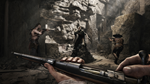 Hunt: Showdown - Commercial LicenseRU/CIS/UA/KZ - изображение № 3