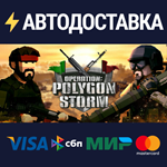 Operation: Polygon StormSTEAM РФ/СНГ/УКР/КЗ ️АВТО
