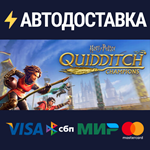 Гарри Поттер: Чемпионы по квиддичу - Deluxe-издание