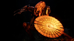 Predator: Hunting Grounds — неистовый хищник DLC - изображение № 5