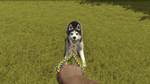 House Flipper - Pets DLCSTEAM Россия️АВТОДОСТАВКА - изображение № 8