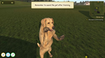 Animal Trainer SimulatorSTEAM Россия️АВТОДОСТАВКА - изображение № 3