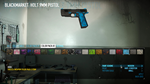 PAYDAY 2: Weapon Color Pack 2 DLCSTEAM RU️АВТО - изображение № 5