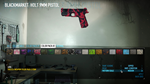 PAYDAY 2: Weapon Color Pack 2 DLCSTEAM RU️АВТО - изображение № 3