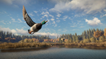 theHunter: Call of the Wild™STEAM РФ/СНГ/УКР/КЗ - изображение № 5