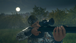 theHunter: Call of the Wild™ - Scopes and Crosshairs Pa - изображение № 4